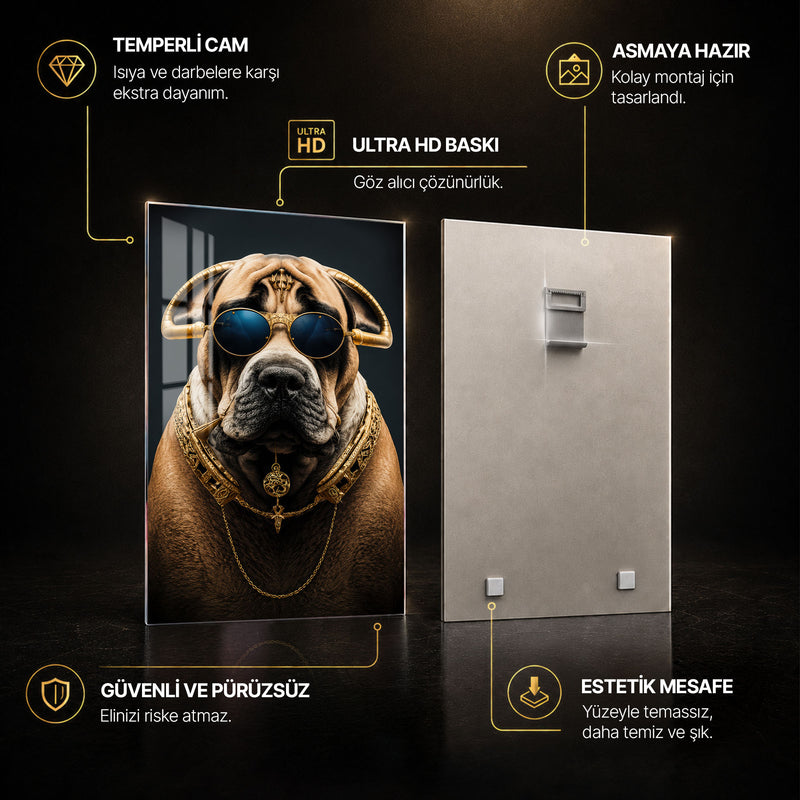 Altın Zincirli Güneş Gözlüklü Köpek Cam Tablo – Cam Tablo