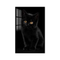 Siyah Yavru Kedi Cam Tablo – Cam Tablo