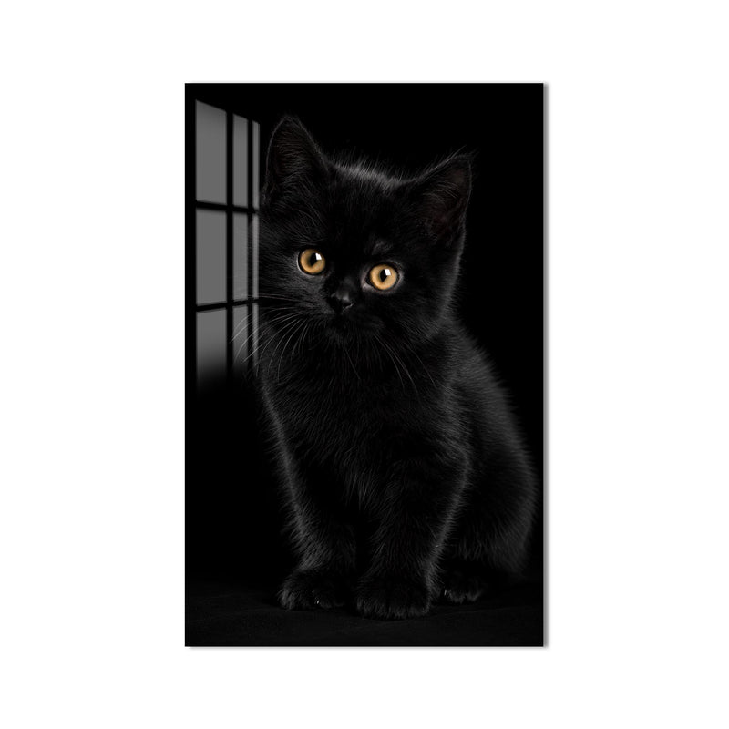 Siyah Yavru Kedi Cam Tablo – Cam Tablo