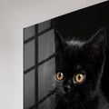 Siyah Yavru Kedi Cam Tablo – Cam Tablo