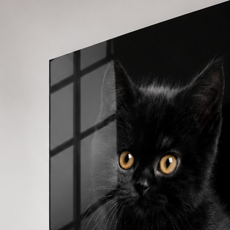 Siyah Yavru Kedi Cam Tablo – Cam Tablo