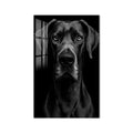 Siyah Danua Portresi Cam Tablo – Cam Tablo
