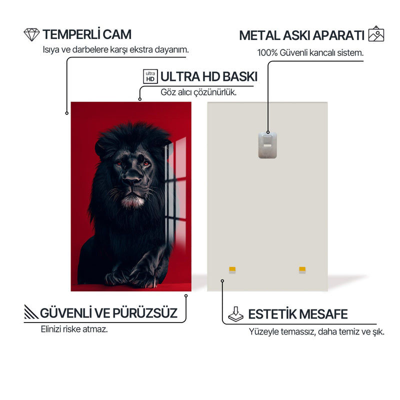 Kara Afrika Aslanı Cam Tablo – Cam Tablo