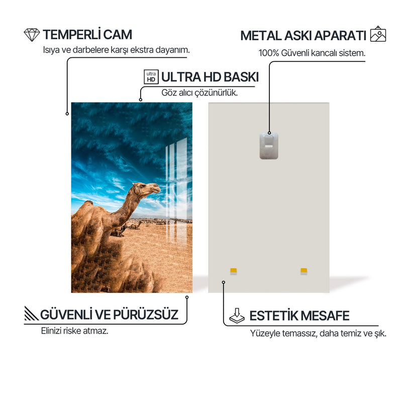 Çölde Deve Cam Tablo – Cam Tablo