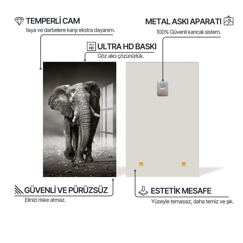 Yaşlı Fil Cam Tablo – Cam Tablo