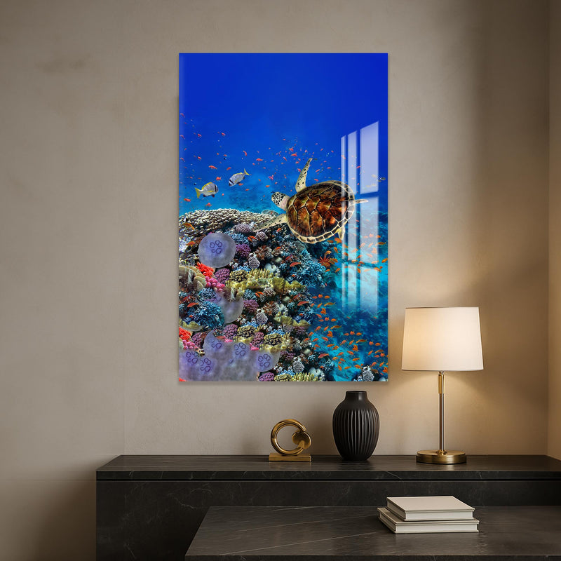 Caretta Caretta Cam Tablo – Cam Tablo