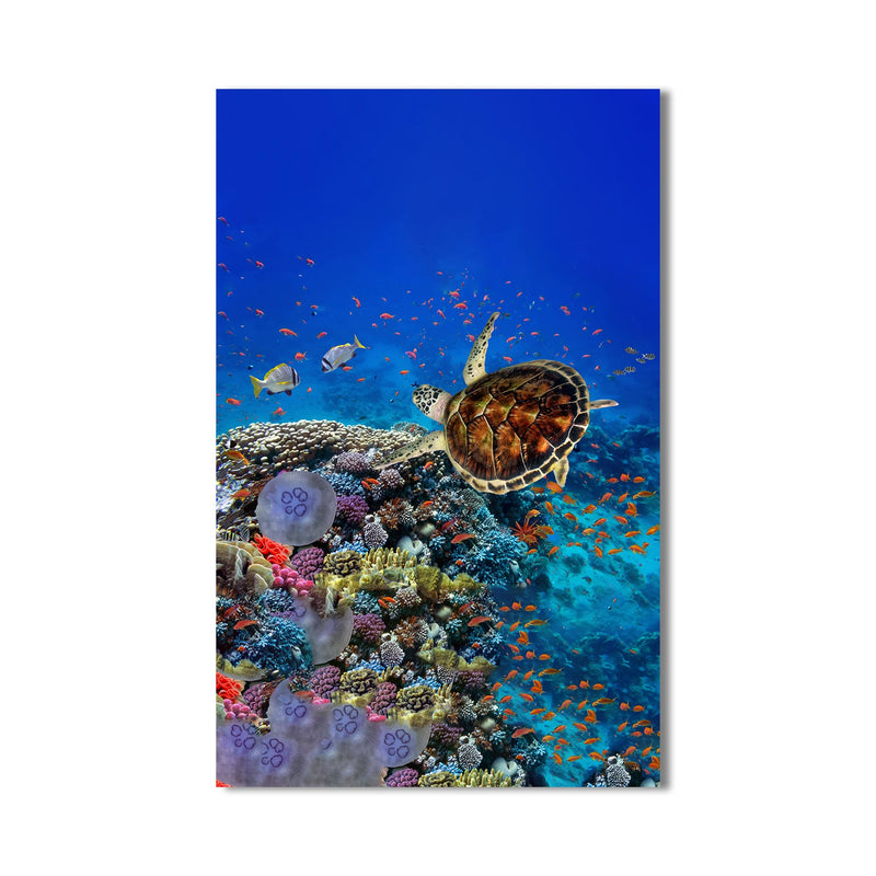 Caretta Caretta Cam Tablo – Cam Tablo