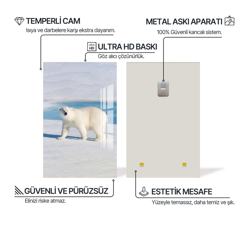 Arktika Kutup Ayısı Cam Tablo – Cam Tablo