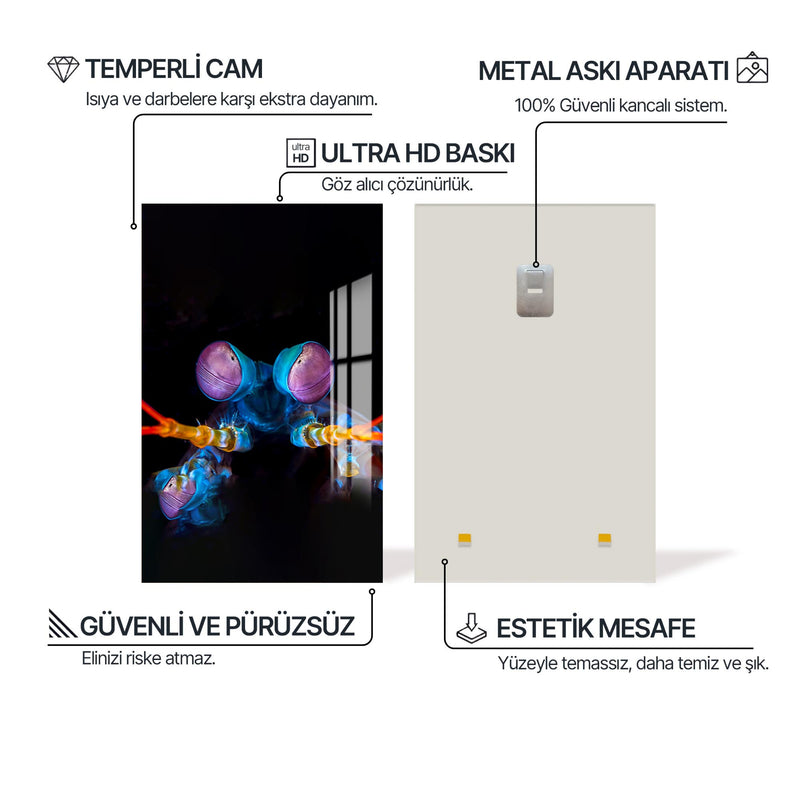 Mantis Karidesi Cam Tablo – Cam Tablo