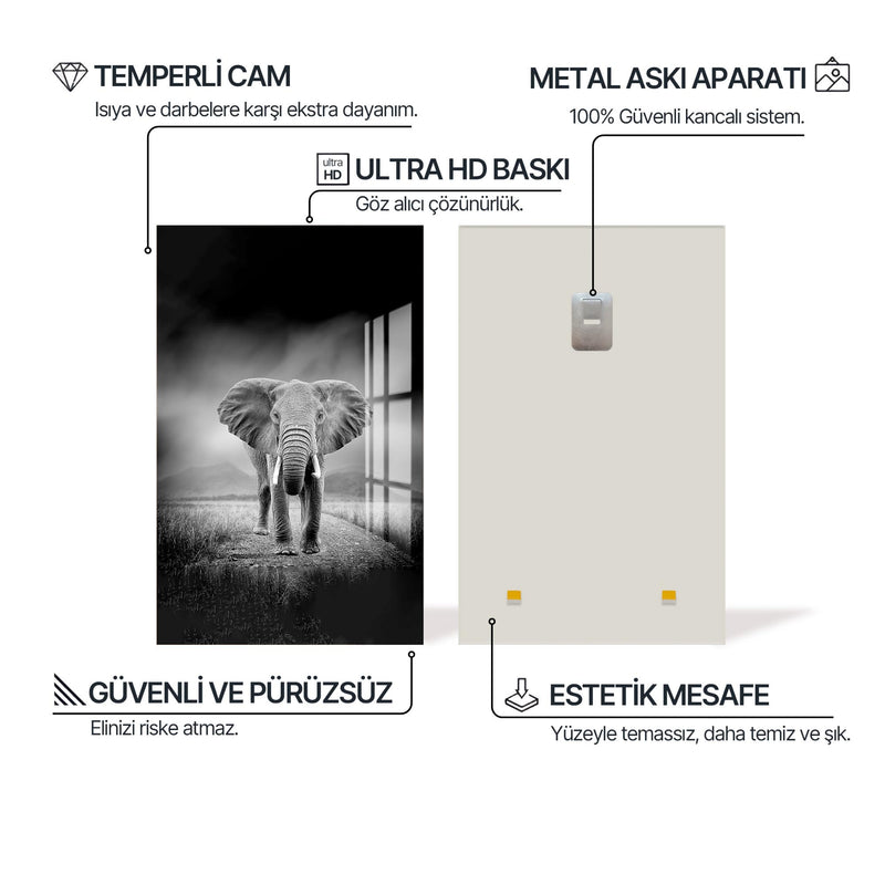 Tarlada Fil Cam Tablo – Cam Tablo