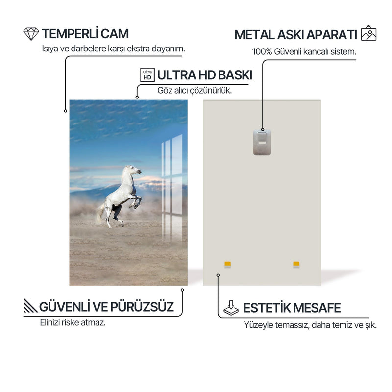 Shagya Arap Atı Cam Tablo – Cam Tablo
