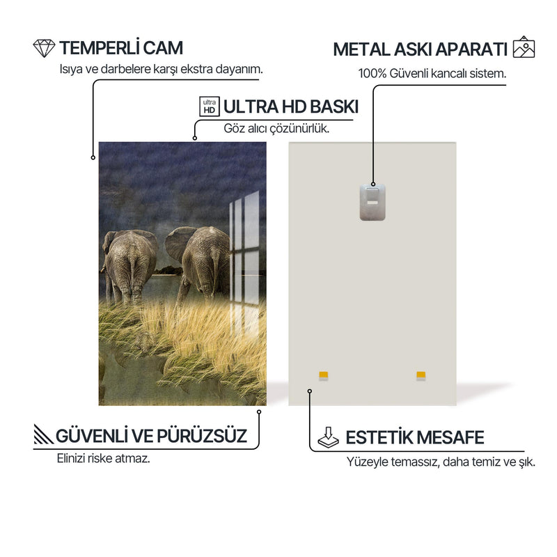 Fillerin Ardından Cam Tablo – Cam Tablo