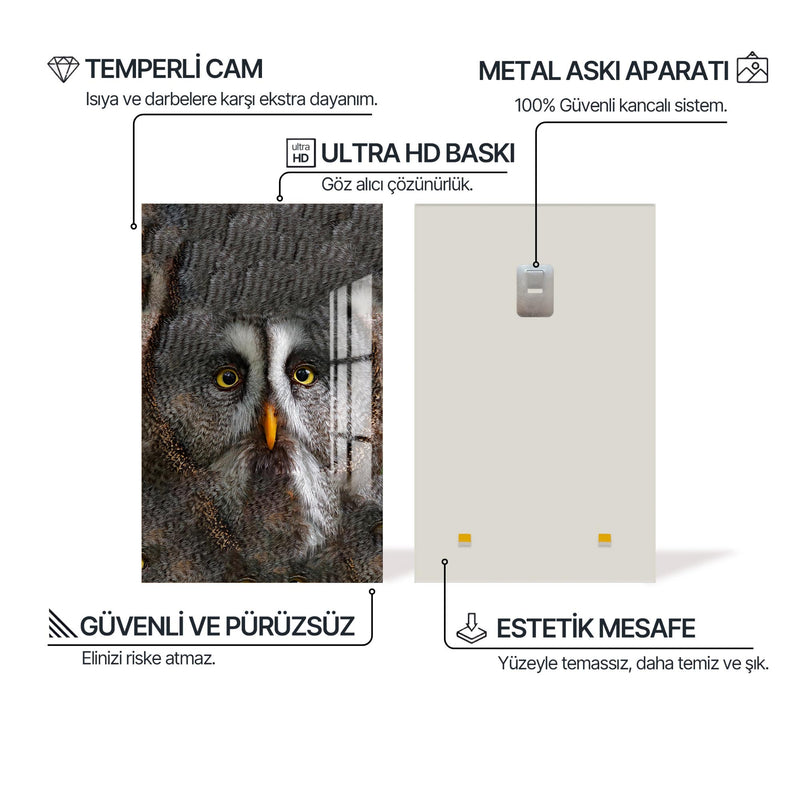 Laponya Baykuşu Cam Tablo – Cam Tablo