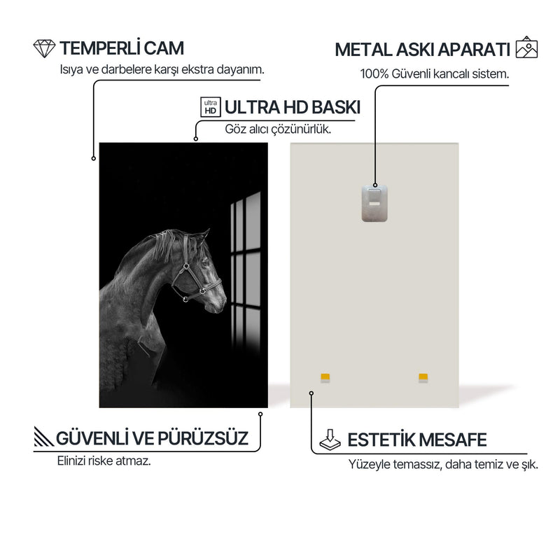 Amerikan Atı Cam Tablo – Cam Tablo