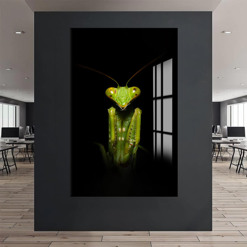Stagmatoptera Cam Tablo – Cam Tablo