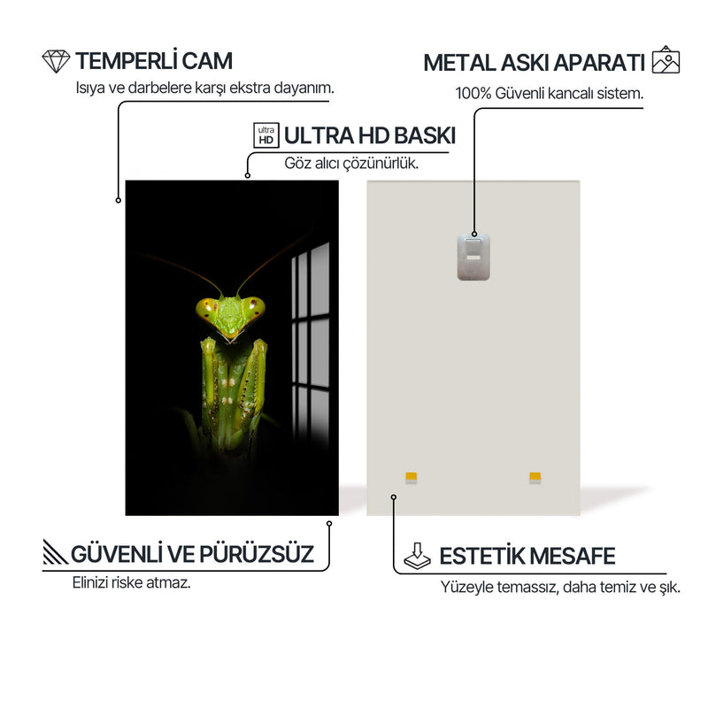 Stagmatoptera Cam Tablo – Cam Tablo
