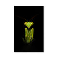 Stagmatoptera Cam Tablo – Cam Tablo