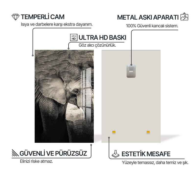Filin Rüyası Cam Tablo – Cam Tablo