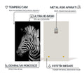 Grevy Zebrası Cam Tablo – Cam Tablo