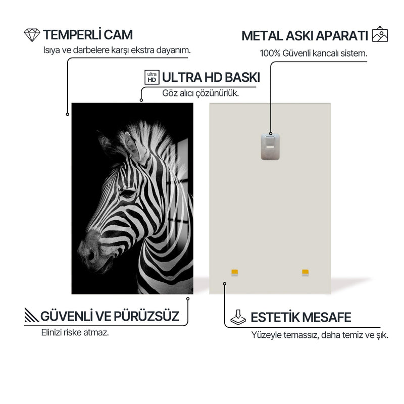 Grevy Zebrası Cam Tablo – Cam Tablo