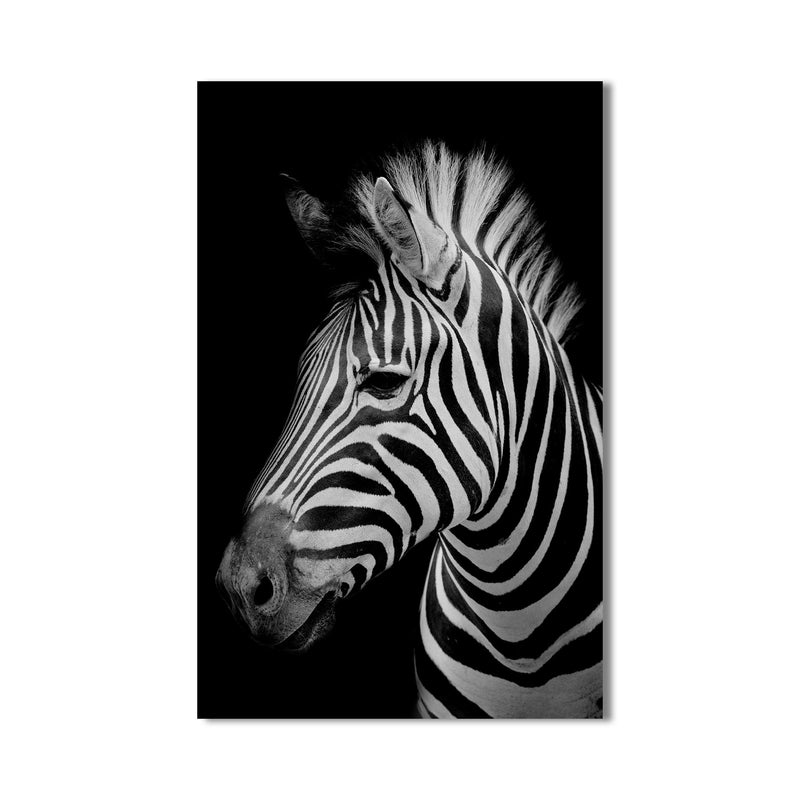 Grevy Zebrası Cam Tablo – Cam Tablo