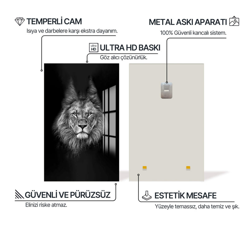 Kalahari Aslanı Cam Tablo – Cam Tablo