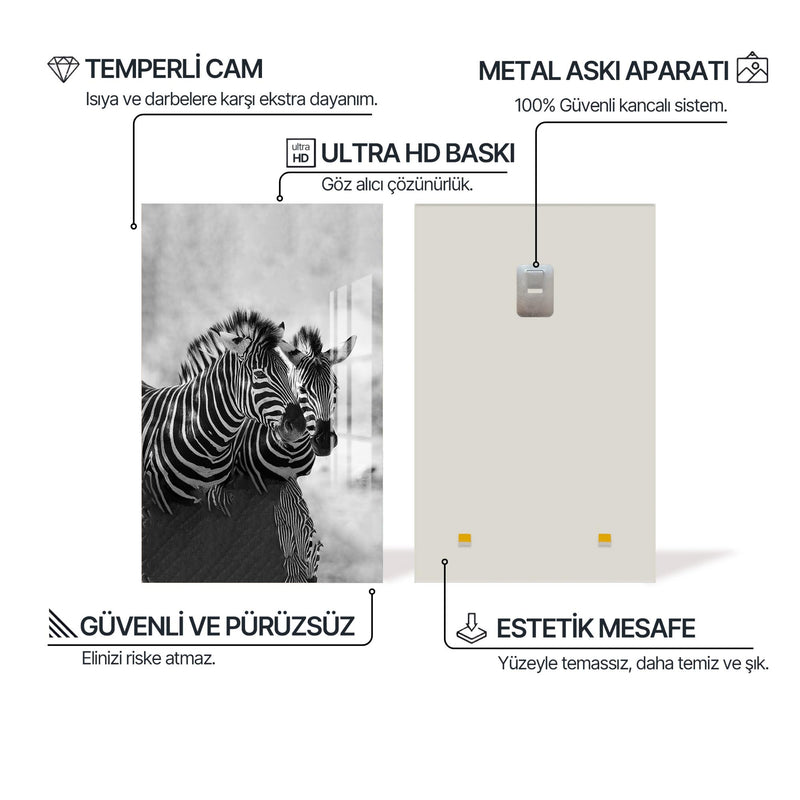 Çöl Zebraları Cam Tablo – Cam Tablo