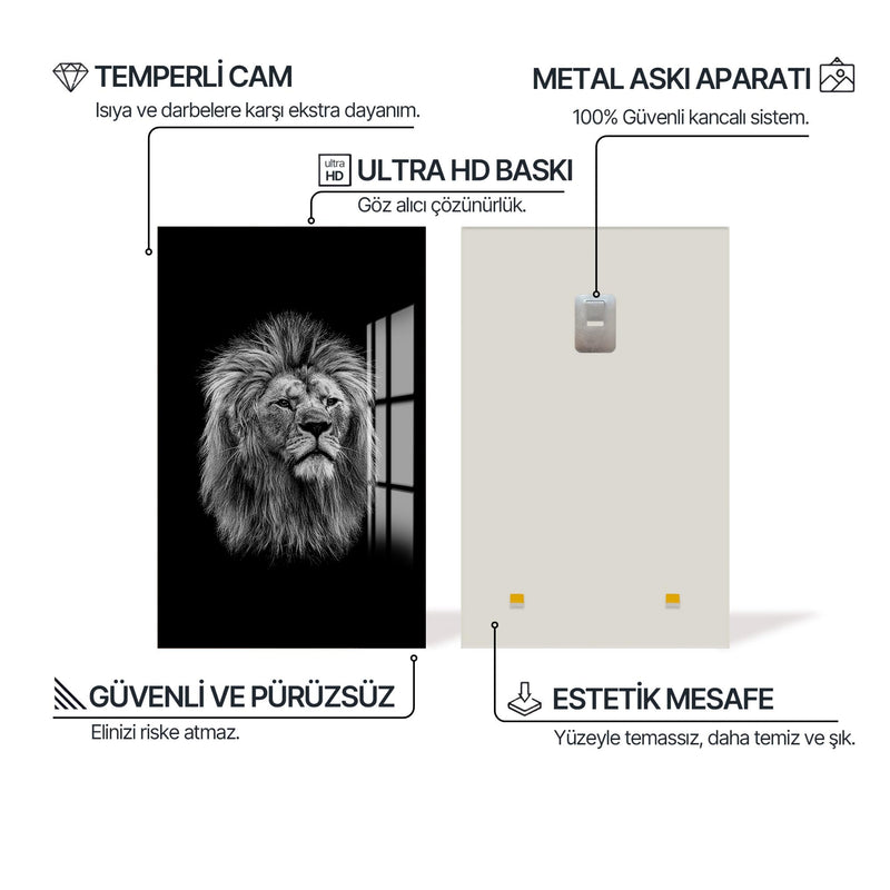 Şüpheci Aslan Cam Tablo – Cam Tablo