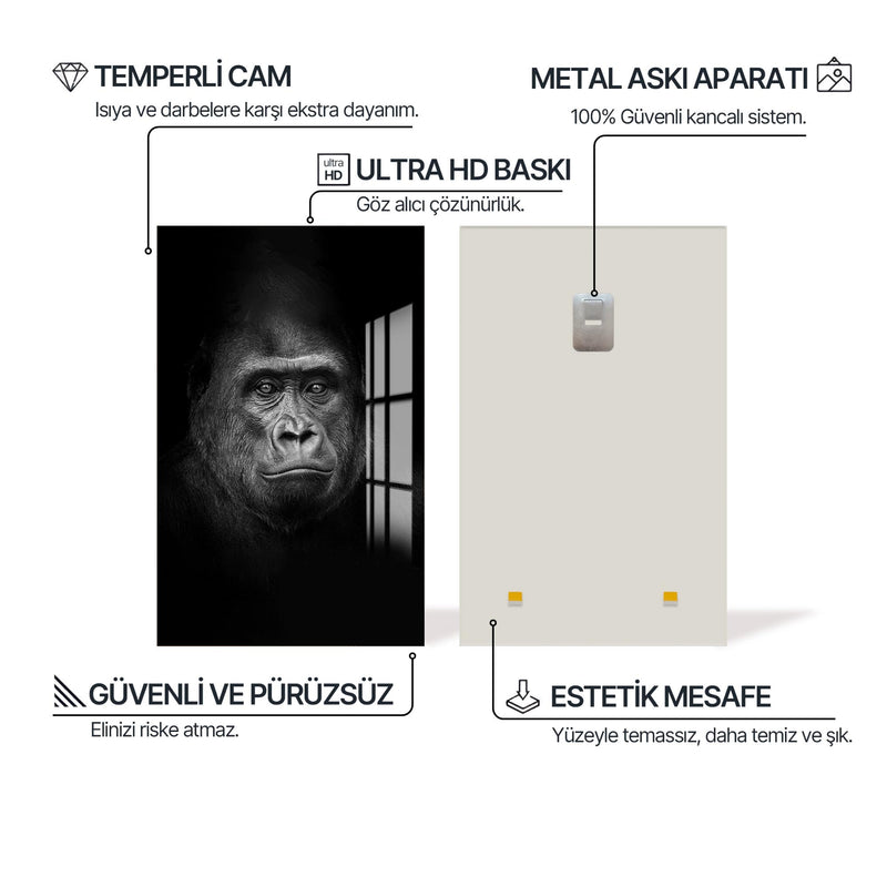 Borneo Orangutanı Cam Tablo – Cam Tablo