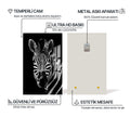 Dağ Zebrası Cam Tablo – Cam Tablo