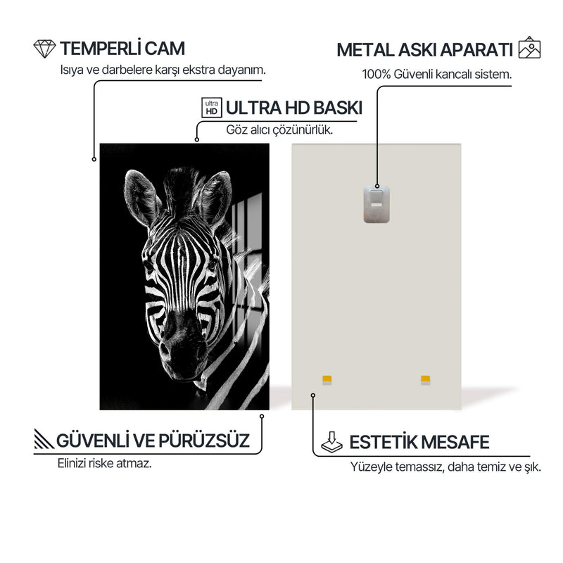 Dağ Zebrası Cam Tablo – Cam Tablo