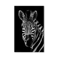 Dağ Zebrası Cam Tablo – Cam Tablo