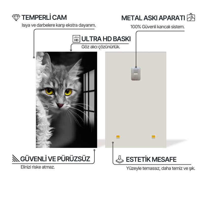 Meraklı Tekir Cam Tablo – Cam Tablo