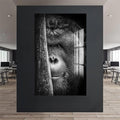 Orangutan Cam Tablo – Cam Tablo