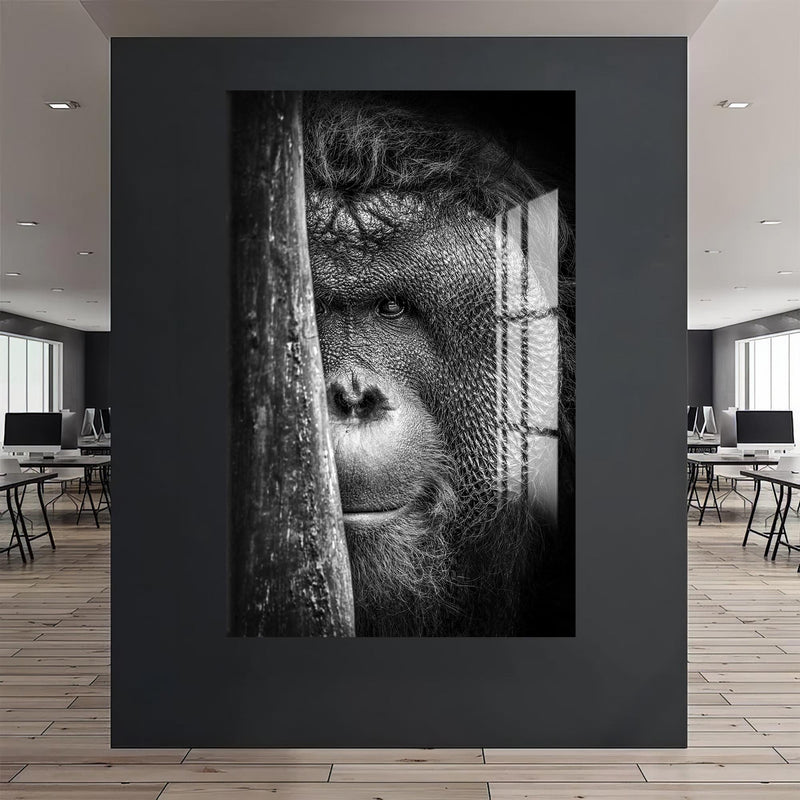 Orangutan Cam Tablo – Cam Tablo