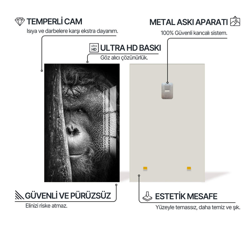 Orangutan Cam Tablo – Cam Tablo