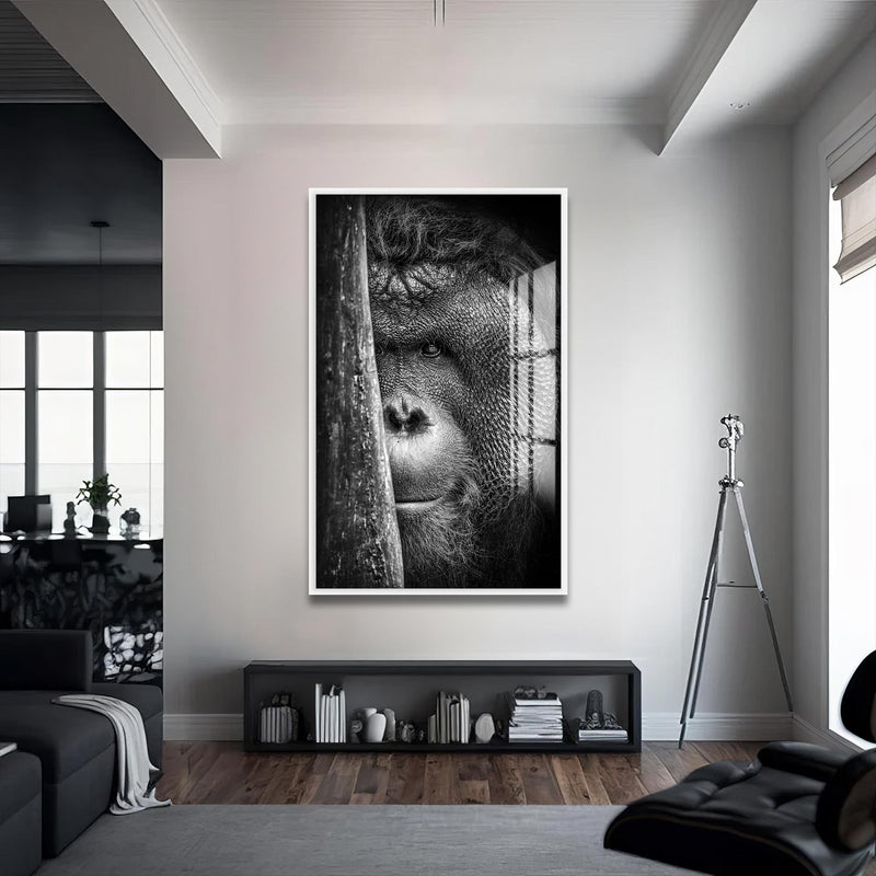 Orangutan Cam Tablo – Beyaz Çerçeveli Cam Tablo