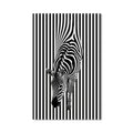 Zebra Cam Tablo – Cam Tablo