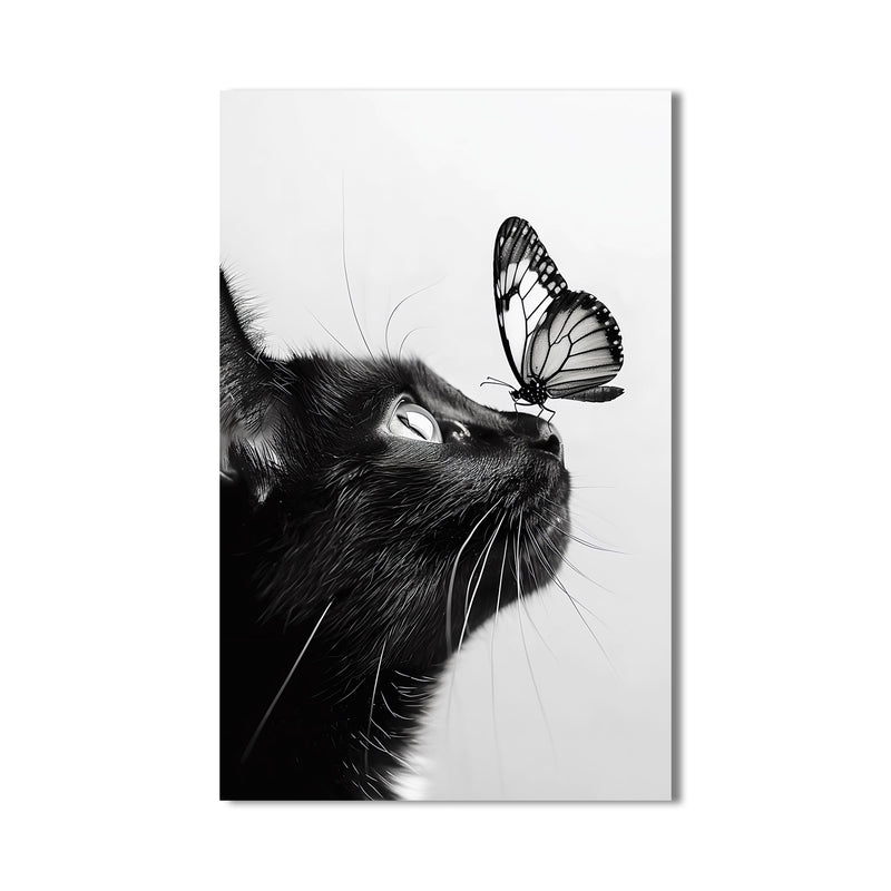 Kelebeği Burnunda Kedi Cam Tablo – Cam Tablo