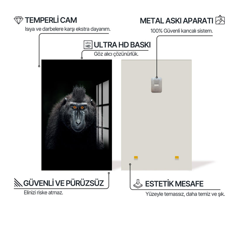 Tepeli Makak Cam Tablo – Cam Tablo