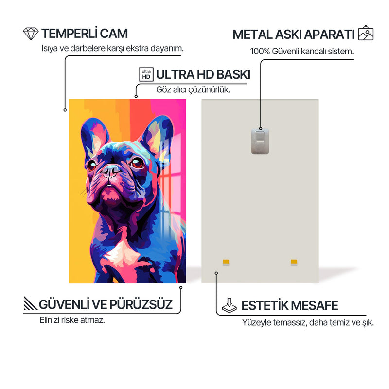 Rengarenk Fransız Buldog Cam Tablo – Cam Tablo