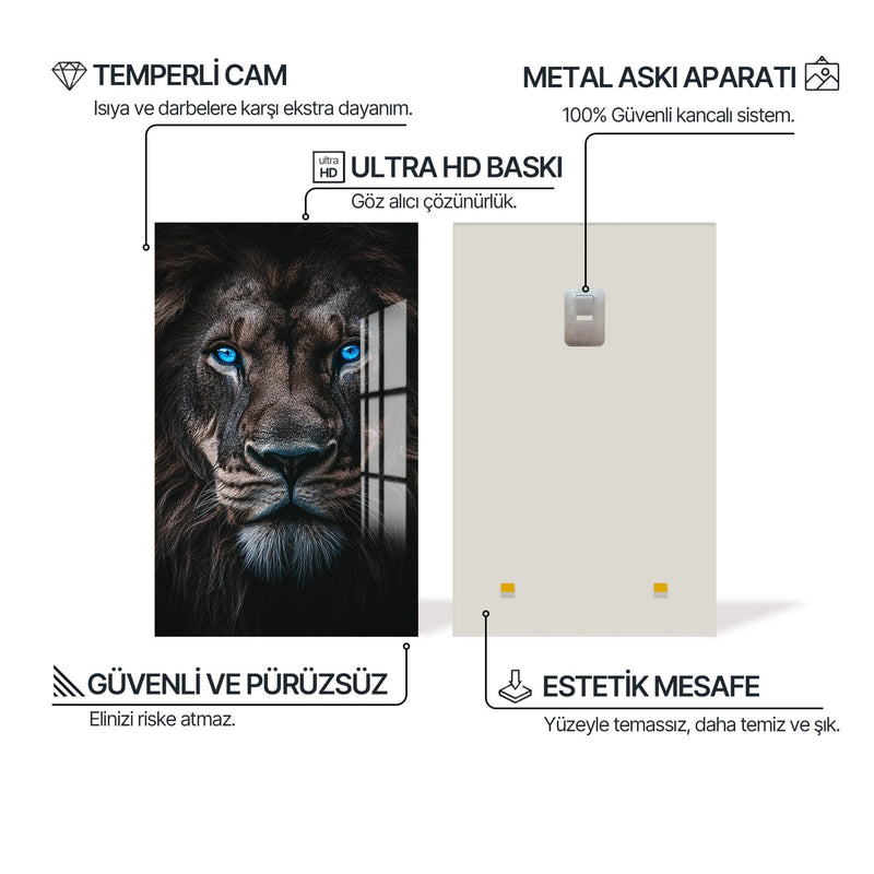 Mavi Gözlü Aslan Cam Tablo – Cam Tablo