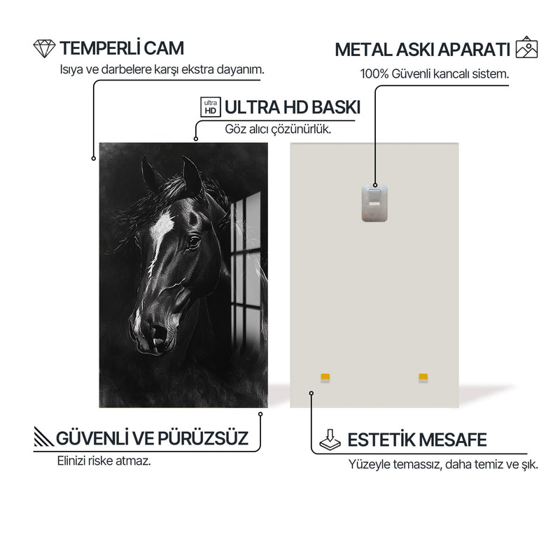 Friesian Atı Cam Tablo – Cam Tablo
