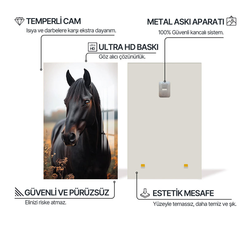Morgan Atı Cam Tablo – Cam Tablo