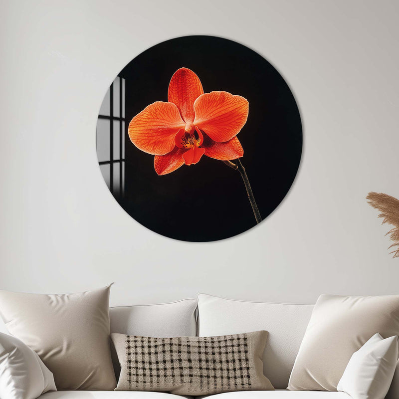 Eflora Yuvarlak Cam Tablo – Cam Tablo
