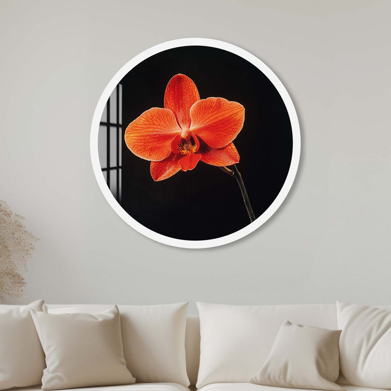 Eflora Yuvarlak Cam Tablo – Cam Tablo