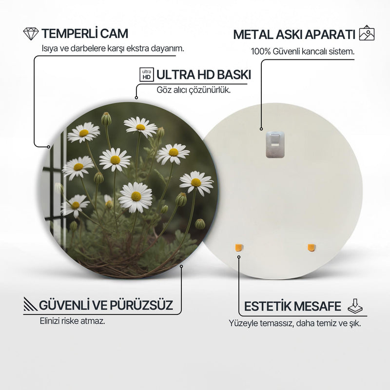 Elathiel Yuvarlak Cam Tablo – Cam Tablo