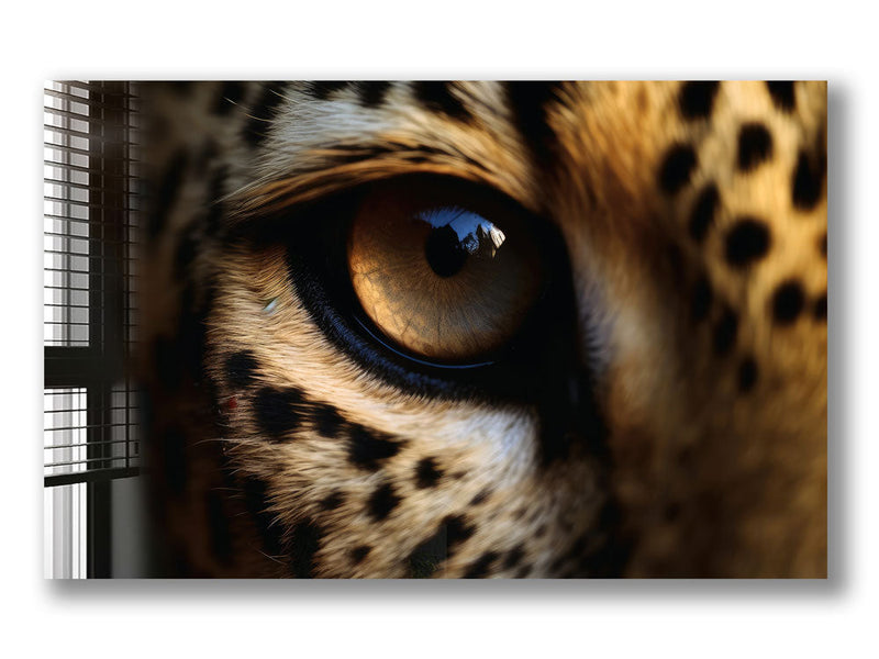 Leopar Gözü Cam Tablo – Cam Tablo