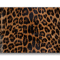 Leopar Kürkü Cam Tablo – Cam Tablo