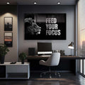 Feed Your Focus Cam Tablo – Cam Tablo